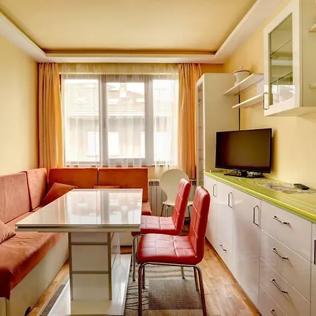 Spacious And Stylish In The Heart Of Plus Parking Apartment Sofia